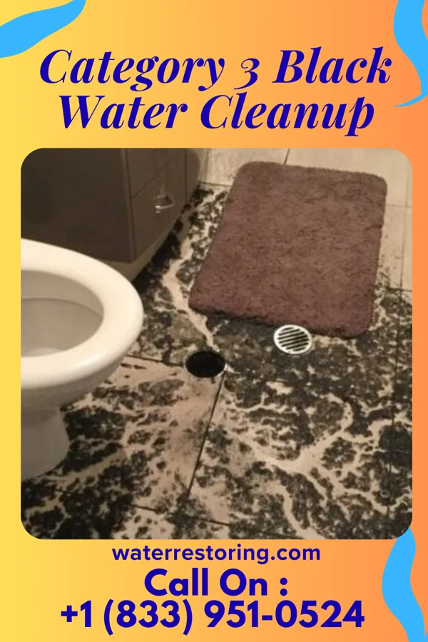 Category 3 Black Water Cleanup in Parkerville, KS