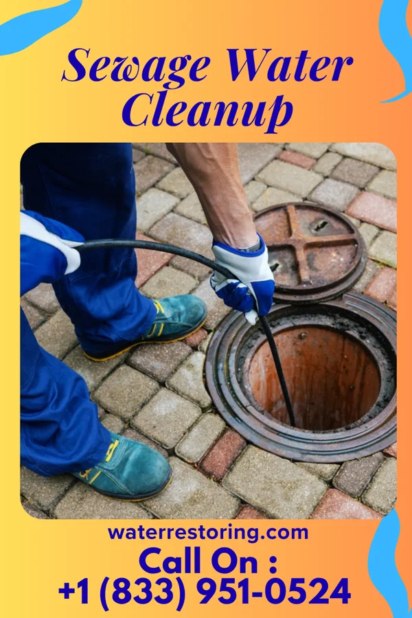 Sewage Water Cleanup in Parkerville, KS
